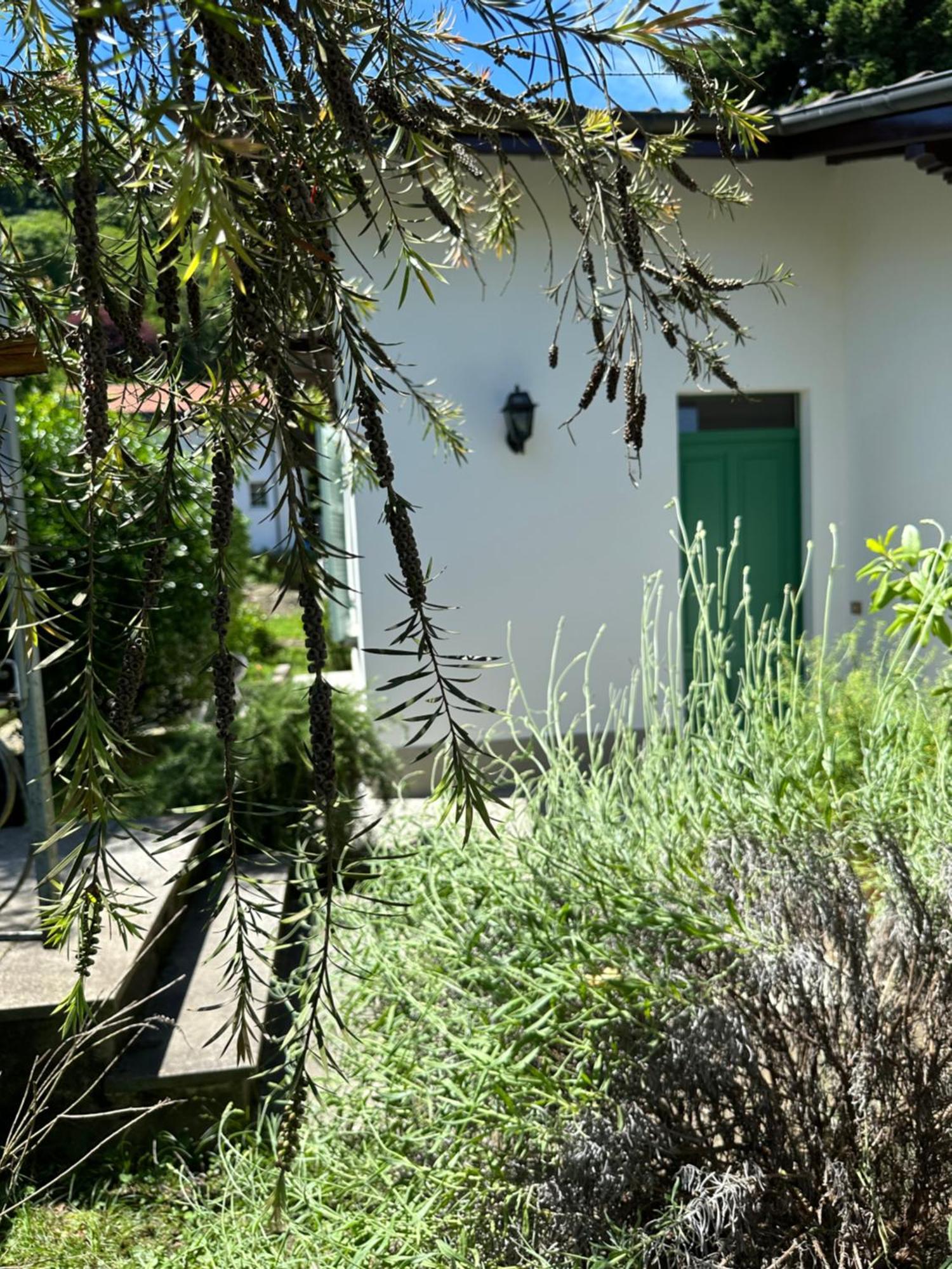Casa Del Custode: Renovated Flat With Garden In A Villa Near The Lake 스트레사 외부 사진